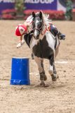 20241020-135627-2024-10-20-13-56-28-77-NIKON-Z-9