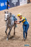 20241020-140019-2024-10-20-14-00-20-70-NIKON-Z-6-2