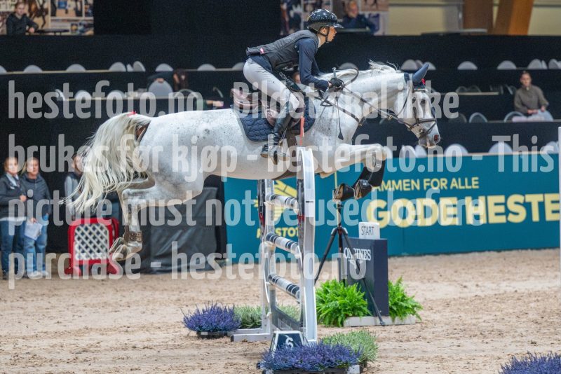 20251016-130344-DSC_8473