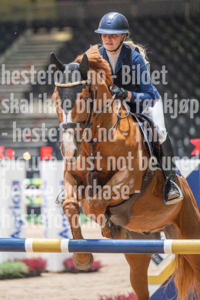 20251016-130503-DSC_8555