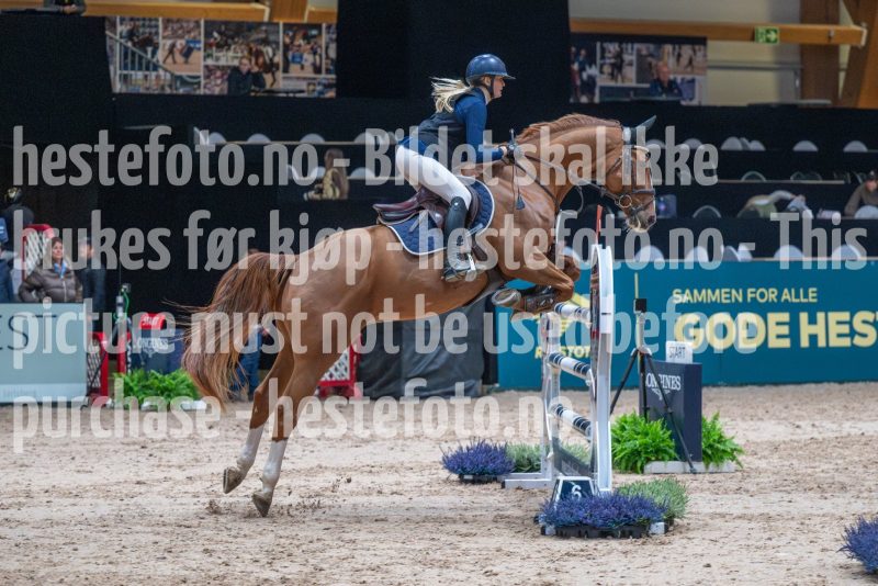 20251016-130510-DSC_8572