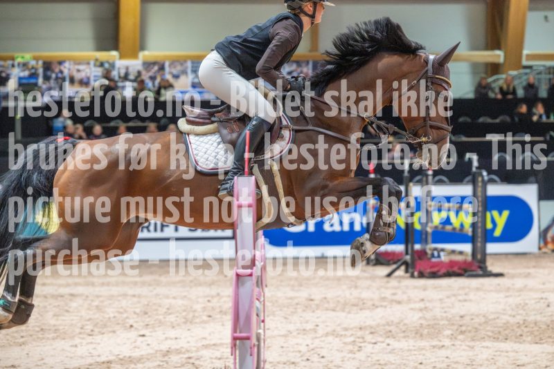 20251016-130833-DSC_8741