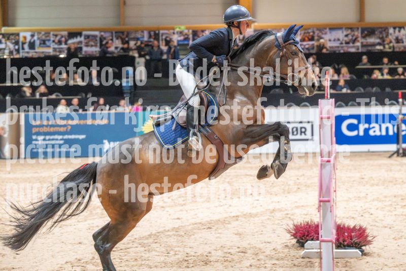 20251016-131132-DSC_8884