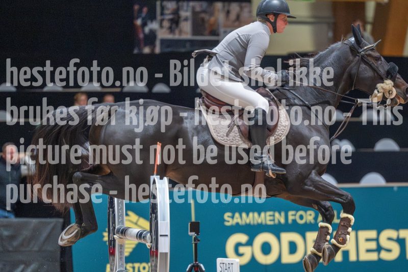 20251016-132919-DSC_9615