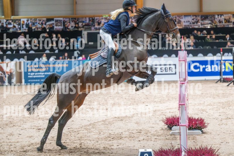 20251016-133212-DSC_9694