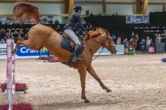 20251016-142147-DSC_1127