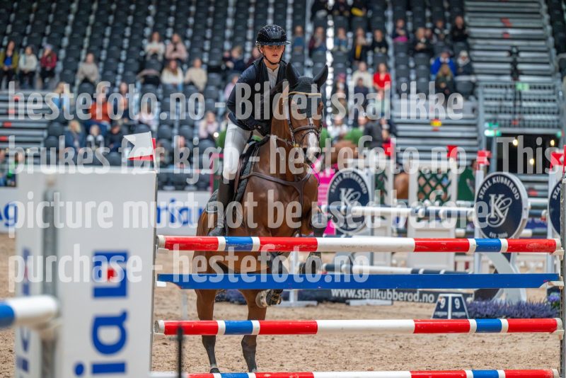 20251017-113158-DSC_8018