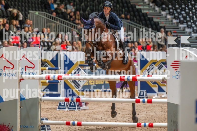 20251017-113531-DSC_8117