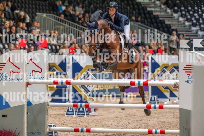 20251017-113532-DSC_8118