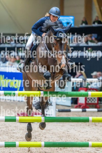 20251017-114136-DSC_8324