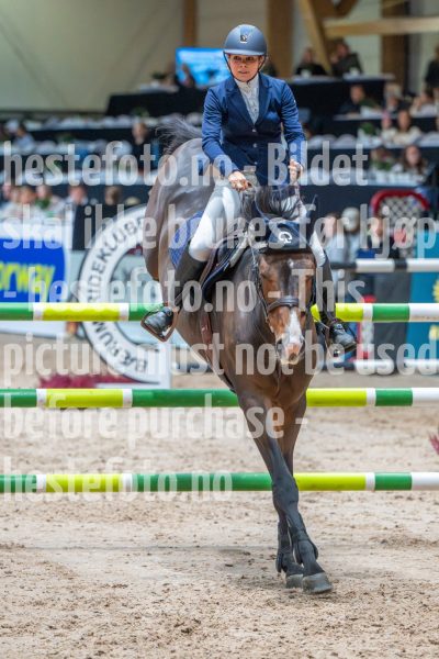 20251017-114136-DSC_8331