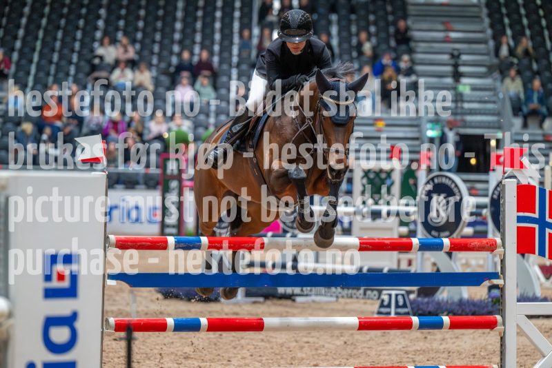 20251017-114530-DSC_8454