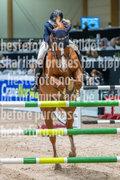 20251017-120227-DSC_8804