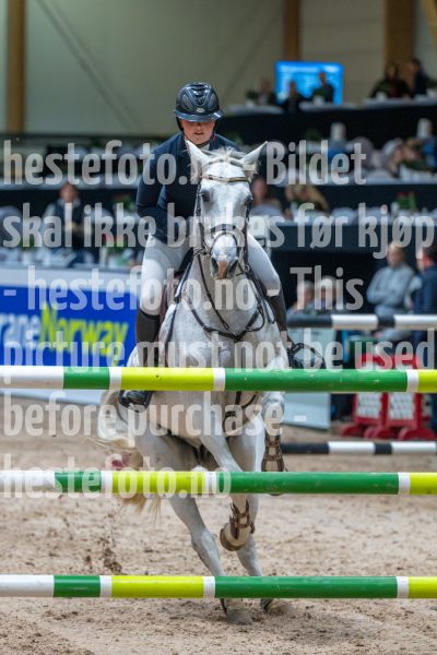 20251017-121037-DSC_9067