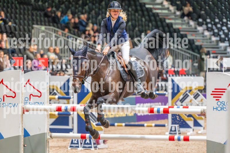 20251017-121904-DSC_9346