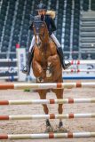 20251017-081149-DSC_4568