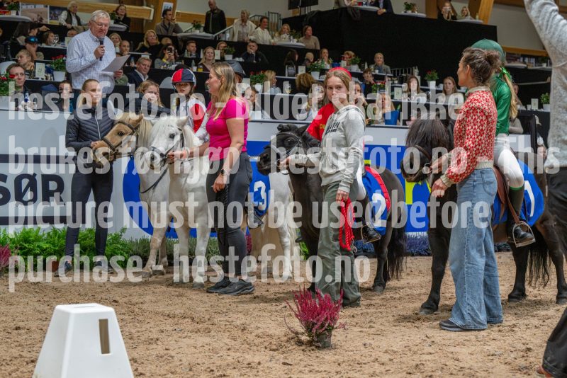20251018-165305-DSC_8016-2