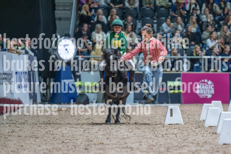 20251018-165352-DSC_8131