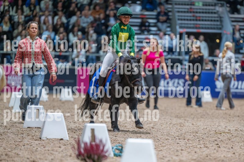 20251018-165354-DSC_8151