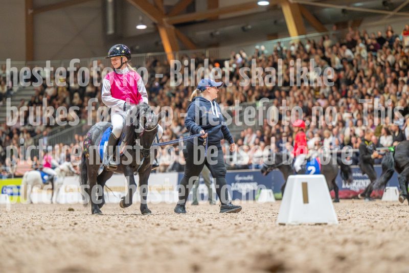 20251018-165437-DSC_8303