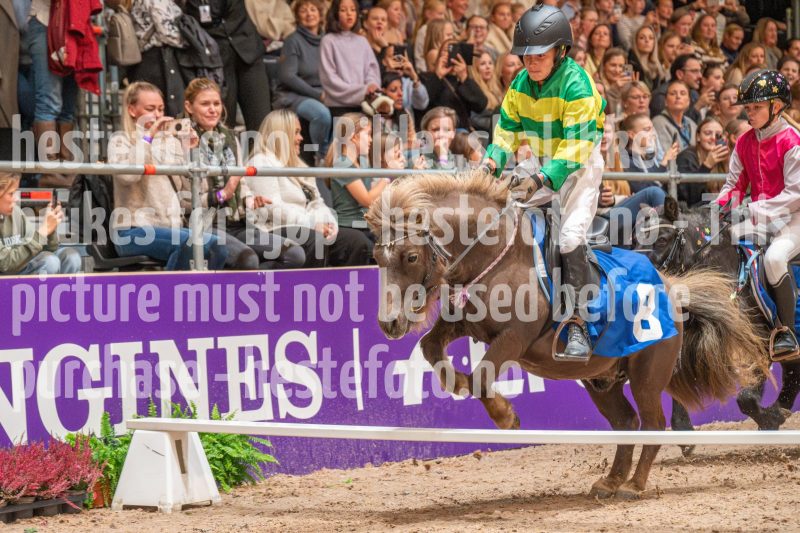 20251018-165830-DSC_8168