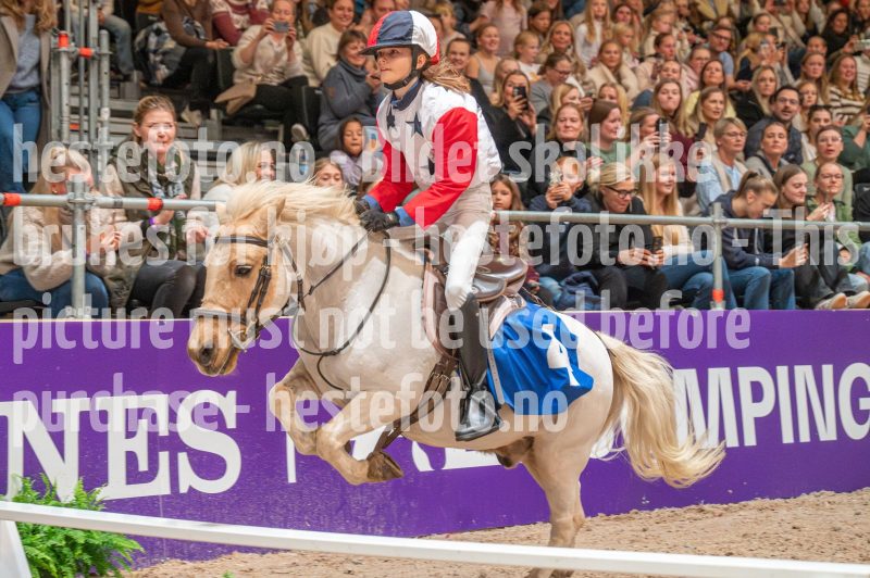 20251018-170139-DSC_8271