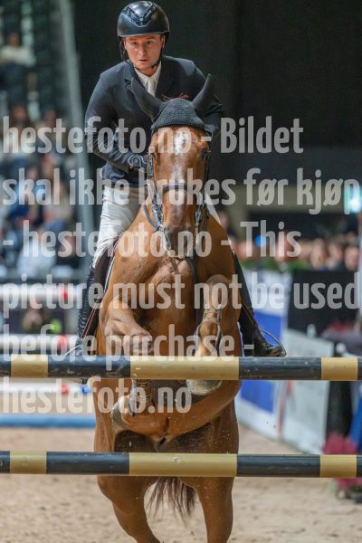 20251018-123434-DSC_4175