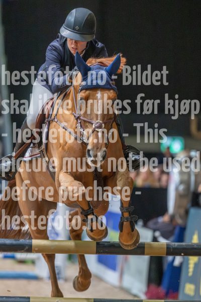 20251018-124130-DSC_4277
