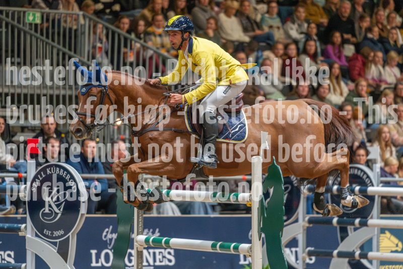 20251018-125354-DSC_4505