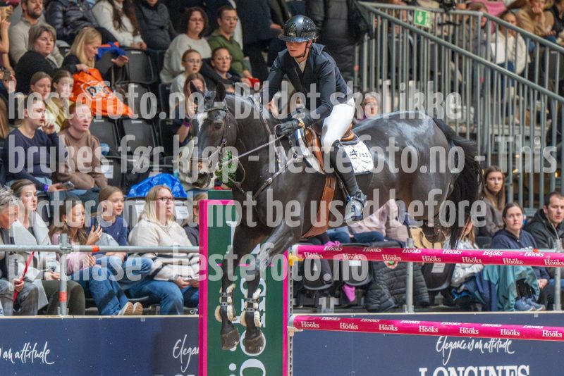 20251018-194713-DSC_4604
