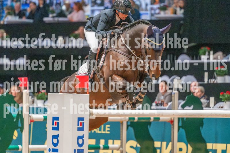 20251019-114841-DSC_9861