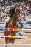 20251019-114600-DSC_9788