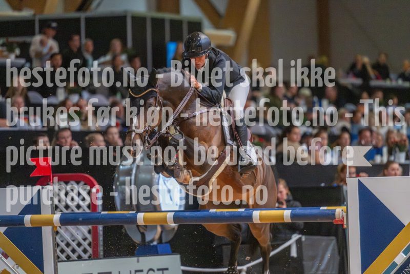 20251019-165150-DSC_2582