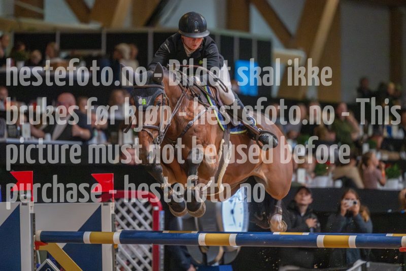 20251019-170642-DSC_2966