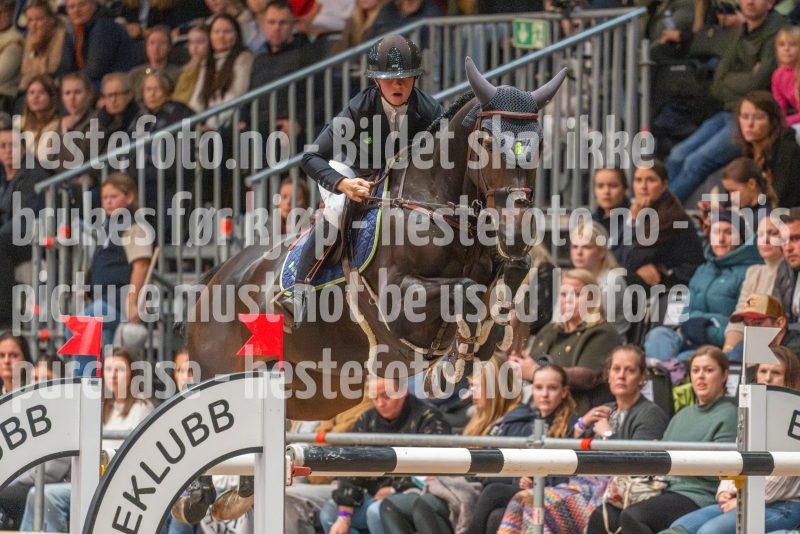 20251019-173249-DSC_3282