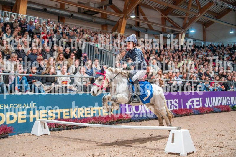 20251019-131639-DSC_9675