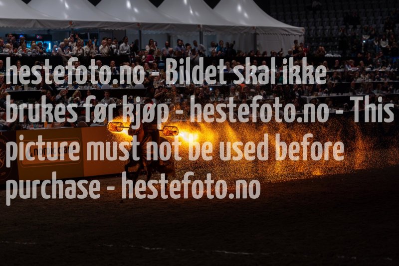 20231014-175630-DSC4207