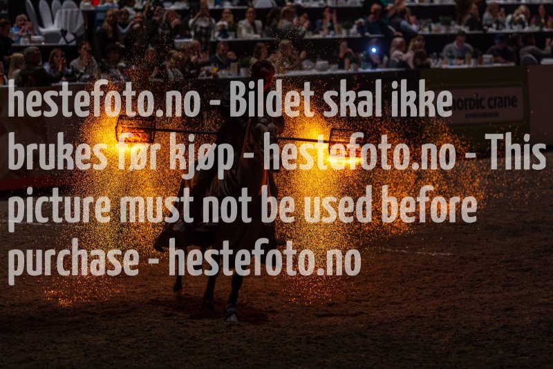 20231014-175633-DSC4213