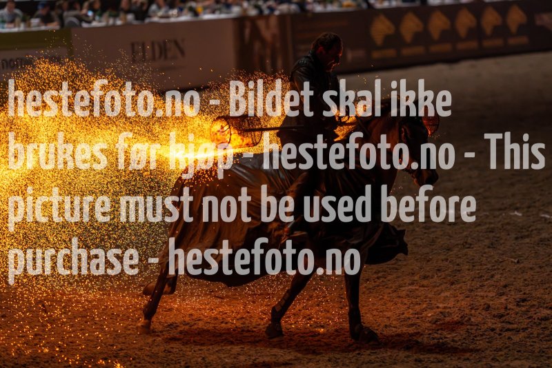 20231014-175634-DSC4218