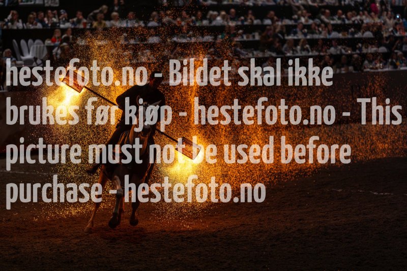 20231014-175702-DSC4268