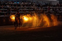 20231014-175656-DSC4256