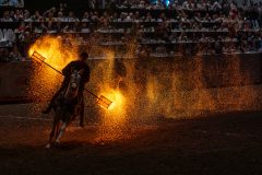 20231014-175702-DSC4265