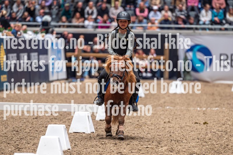 20231015-134140-104N-DSC_8188