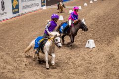 20231014-170504-103N-DSC_1744