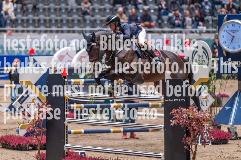 20231013-185133-DSC_4942