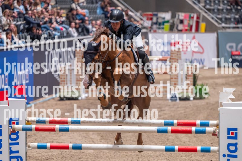20231013-194343-DSC_6219