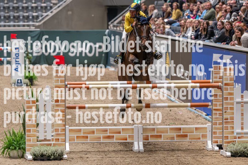 20231013-194738-212N-DSC_9157