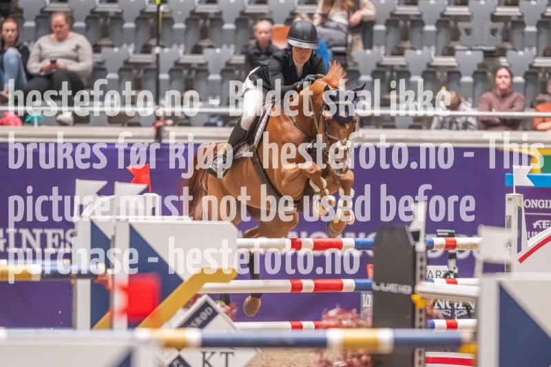 20231013-195612-212N-DSC_9416