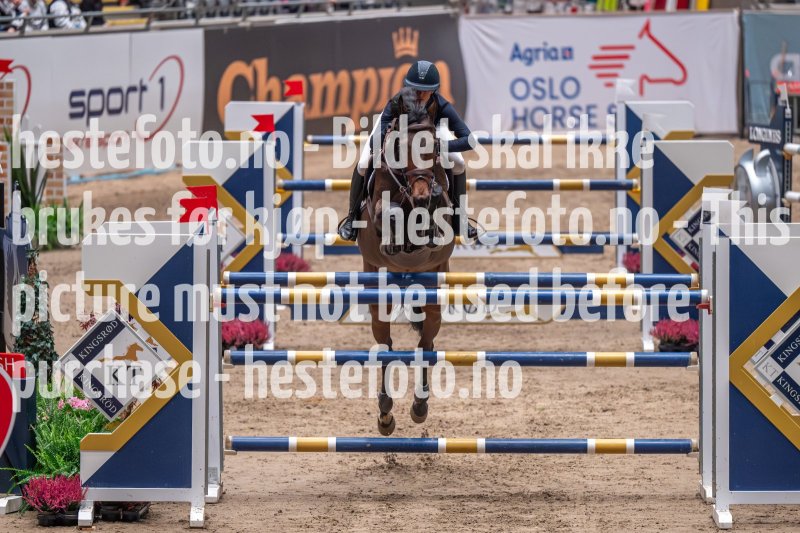 20231013-211605-DSC_7224