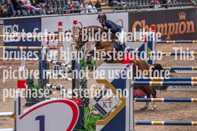 20231013-212018-DSC_7305